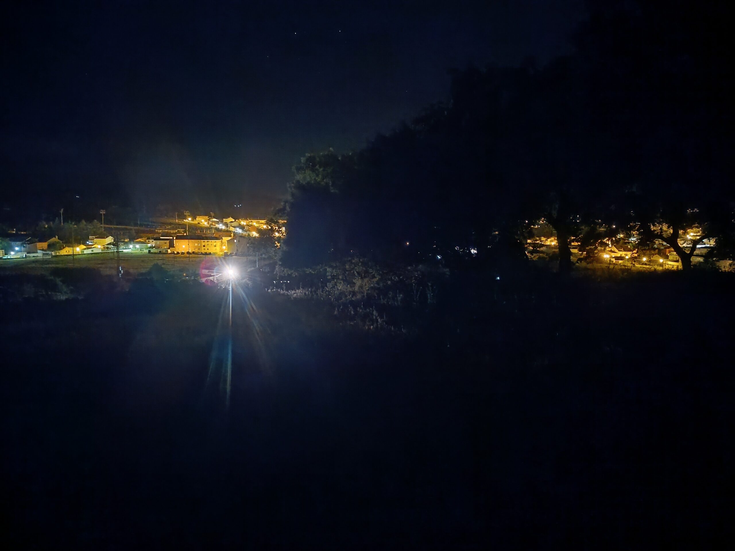 El bosque me recuerda: donde el mundo no me nombra, el Padre me llama